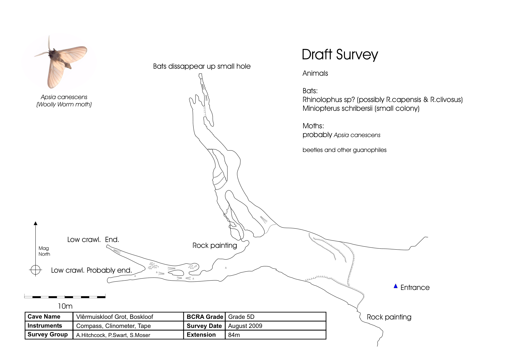 Survey preview